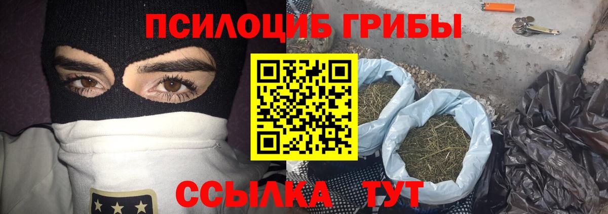 Галлюциногенные грибы MAGIC MUSHROOMS  Псилоцибиновые грибы прущие грибы  Мелеуз  Вход с VPN 